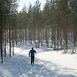 Norppa-majat *