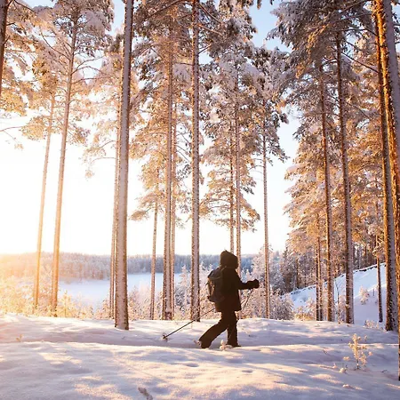 Villa Norppa-majat *